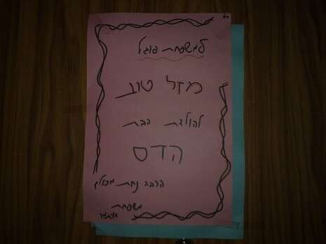 צילום: אמיר מאירי צילום: אמיר מאירי
