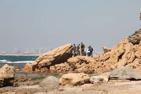 �����: ��� ���