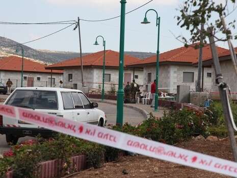 צילום: יהונתן שאול צילום: יהונתן שאול