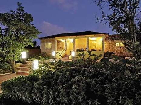 ���� ����