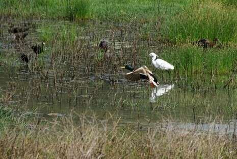 צילום: עפרה בן צבי צילום: עפרה בן צבי