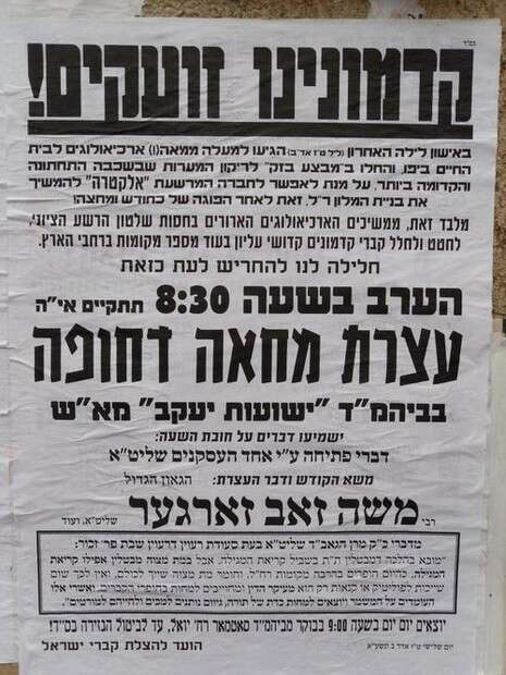 צילום: סוכנות הידיעות חדשות 24 צילום: סוכנות הידיעות חדשות 24