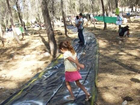 צילום:ה חברה להגנת הטבע צילום:ה חברה להגנת הטבע