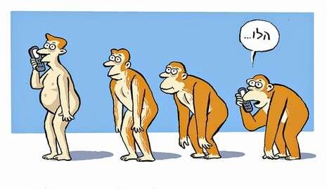 איור: מושיק לין איור: מושיק לין