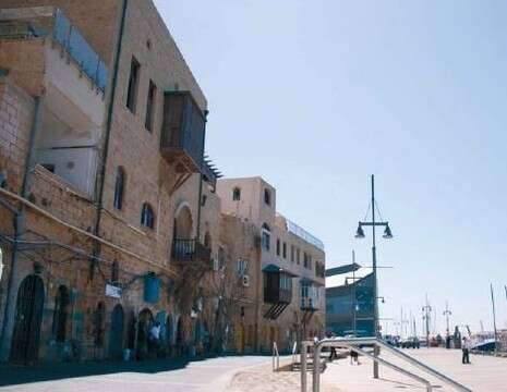 ענת קונפינו-שיין ענת קונפינו-שיין