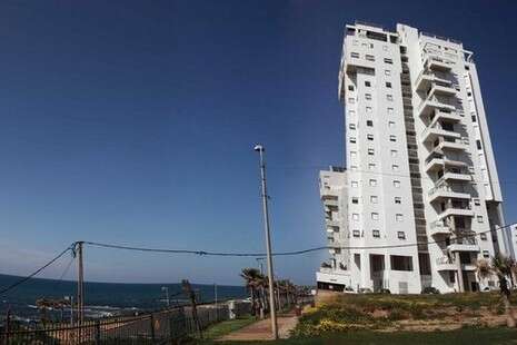 צילום: אלי דסה צילום: אלי דסה