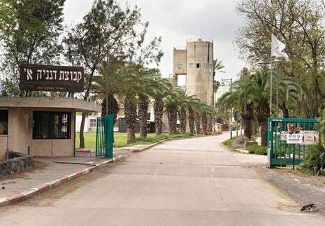 צילום: יגאל לוי צילום: יגאל לוי