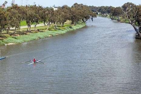 צילום: אריק סולטן צילום: אריק סולטן