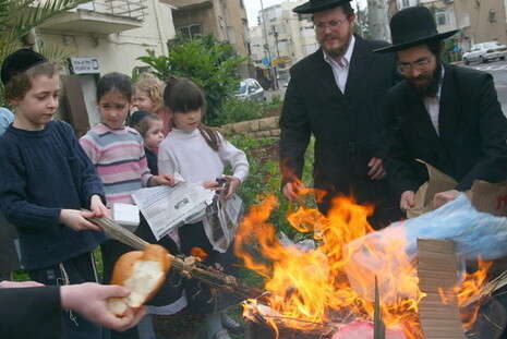 צילום: הרצל שפירא צילום: הרצל שפירא