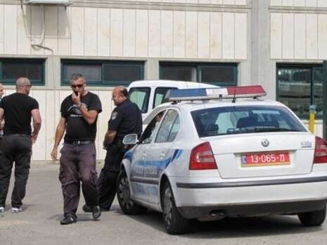 צילום: אתר פאנט צילום: אתר פאנט