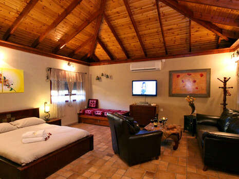 סשה אלכוב סשה אלכוב