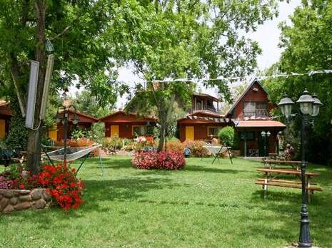 סשה אלכוב סשה אלכוב