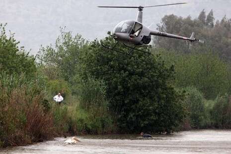 �����: ���� ����, ��''�