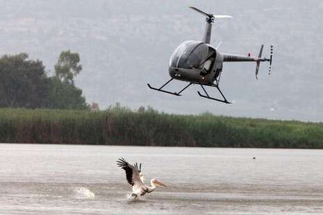 �����: ���� ����, ��''�