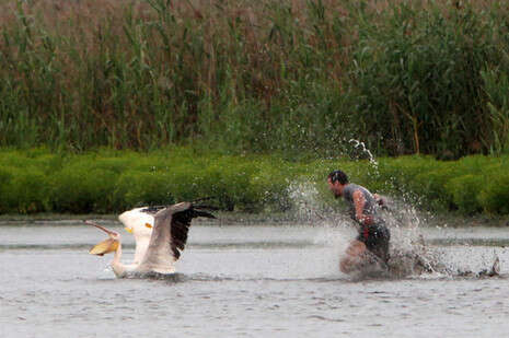 �����: ���� ����, ��''�