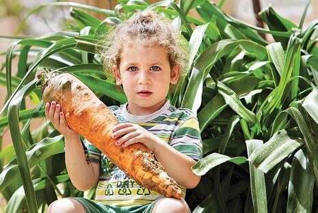 �����: ����� ������ 