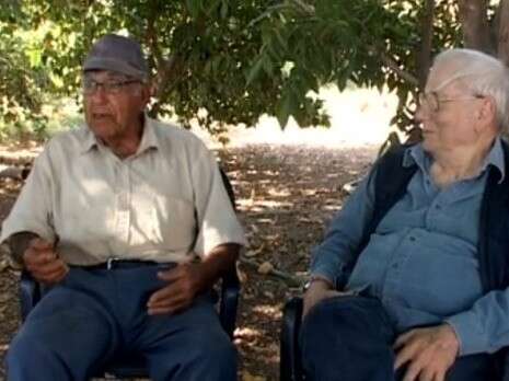 ����� ���