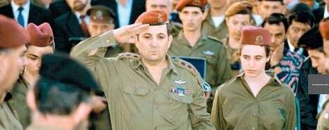 צילום: משה שי צילום: משה שי