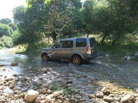 ���� ����