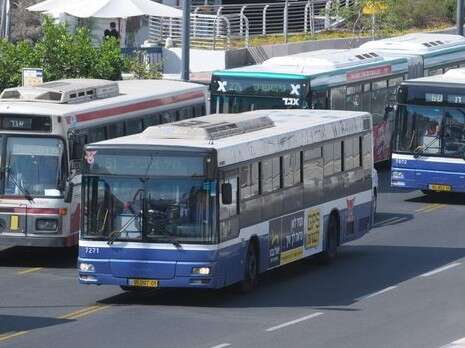 צילום ארכיון: ראובן קסטרו צילום ארכיון: ראובן קסטרו
