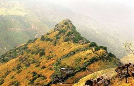 צילום: חמד אלמקת צילום: חמד אלמקת