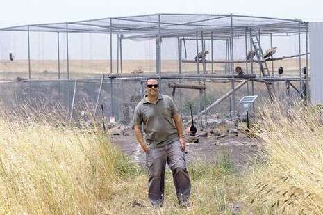 צילום: חמד אלמקת צילום: חמד אלמקת