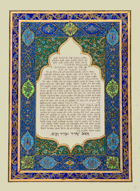 נלי שפר נלי שפר