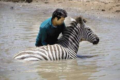 צילום: נאור רהב צילום: נאור רהב