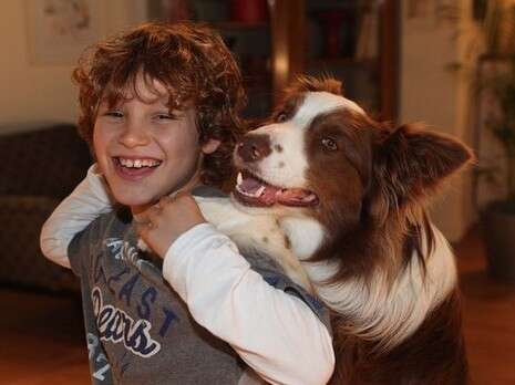 צילום: פאביאן קולדורף צילום: פאביאן קולדורף