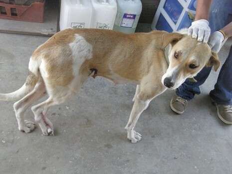 �����: ��� ���� ���� �������