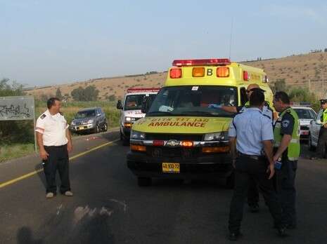 צילום: אתר פאנט צילום: אתר פאנט