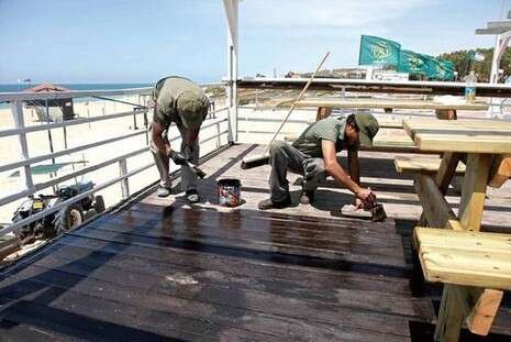 צילום: אלי דסה צילום: אלי דסה