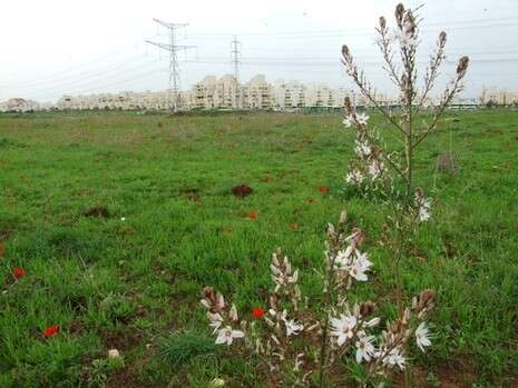 �����: ���� �������, ����� ����� ����