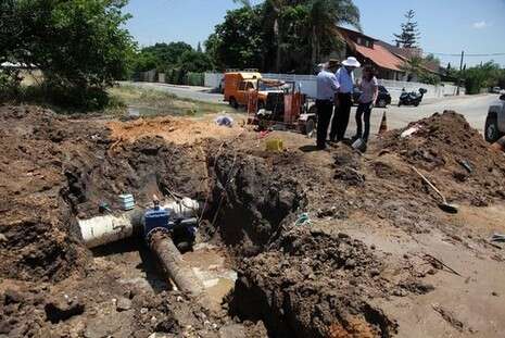 �����: ��� ���