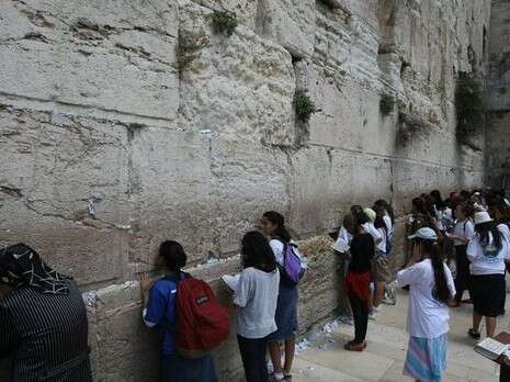 צילום: פלאש 90 צילום: פלאש 90