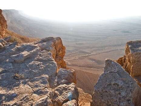 צילום: דורון ניסים צילום: דורון ניסים