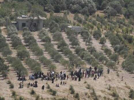 �����: ������