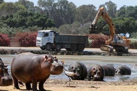 צילום: אלי דסה צילום: אלי דסה