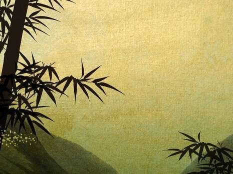 �����: ��������