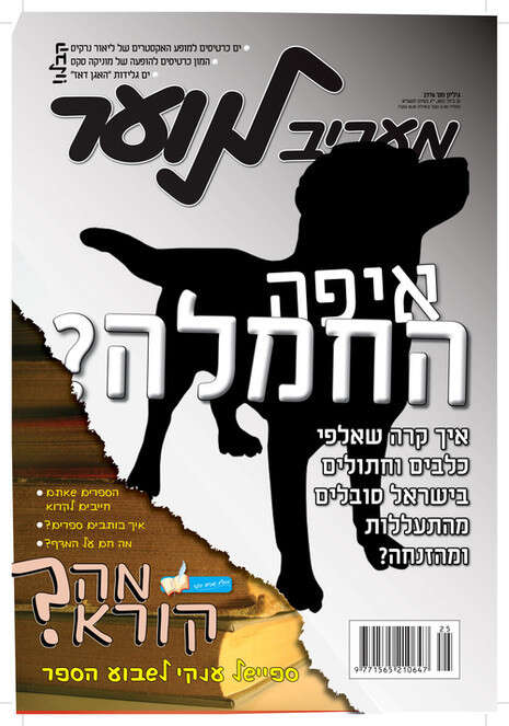 צילום שער מעריב לנוער צילום שער מעריב לנוער