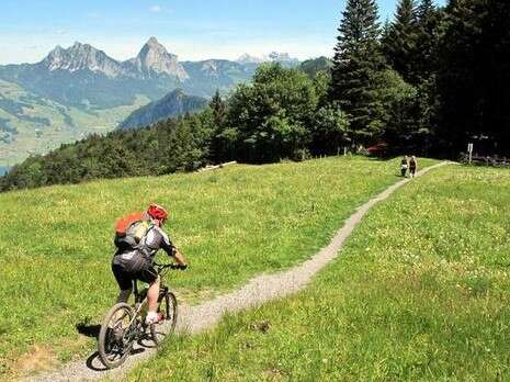 נאור רהב נאור רהב