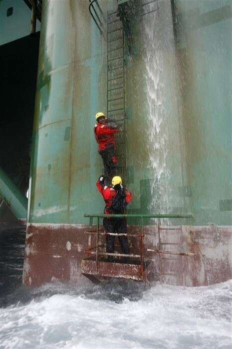 צילום: גרינפיס צילום: גרינפיס