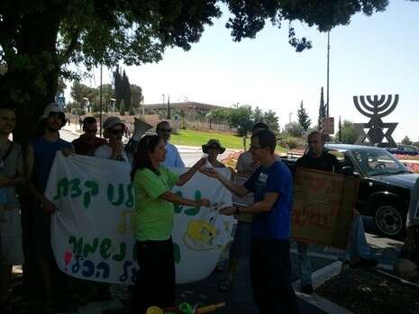 צילום: אופק בירנהולץ, התנועה הירוקה צילום: אופק בירנהולץ, התנועה הירוקה