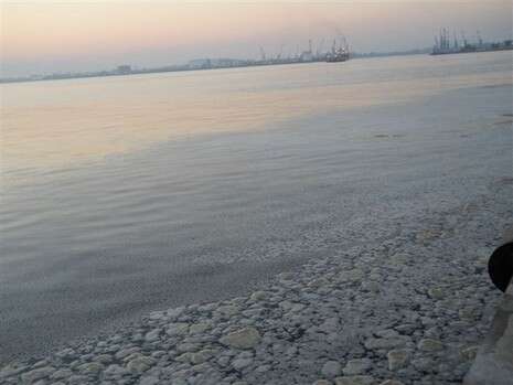 צילום: המשרד להגנת הסביבה צילום: המשרד להגנת הסביבה