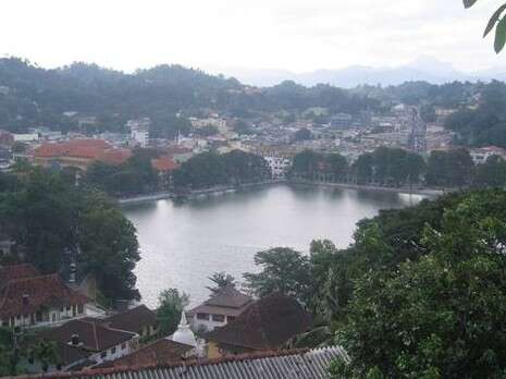 ברק ליבוביץ' ברק ליבוביץ'