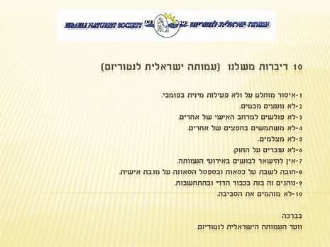 צילום: בלה שחר הלל צילום: בלה שחר הלל