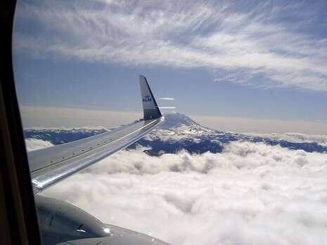 צילום: יח''צ צילום: יח''צ