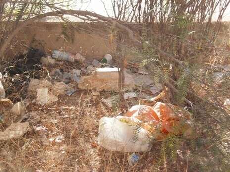 צילום: דודו עזריה צילום: דודו עזריה