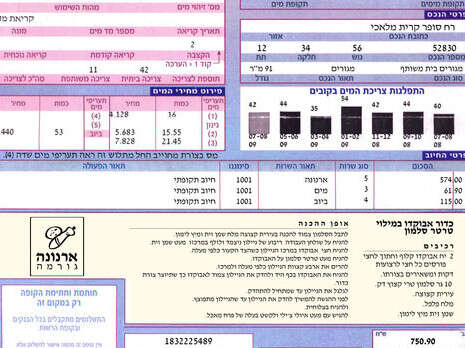 �����: ������ ����� ����� 