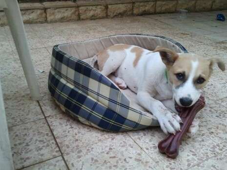 �����: ��� ���� ���� �������